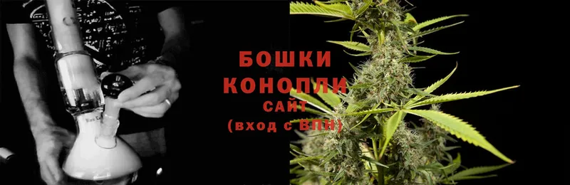 купить наркоту  нарко площадка состав  Канабис White Widow  Братск 